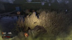 Stalker 2 - Чертёж "Арамидная подкладка" для баллистическо?