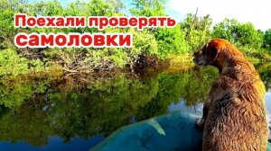 Проверил ЖЕРЛИЦЫ-САМОЛОВКИ.  Оставлял на ночь