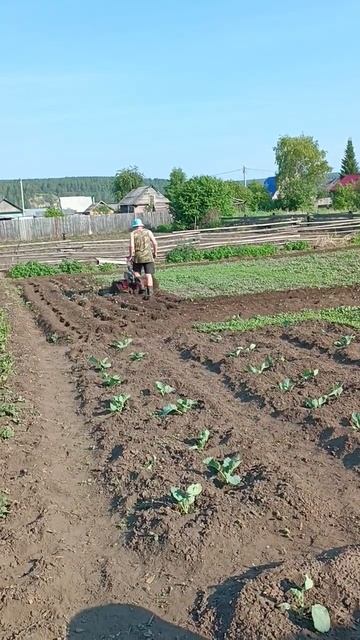 Мотокультиватор G-Power, уже 15 лет служит смотреть онлайн