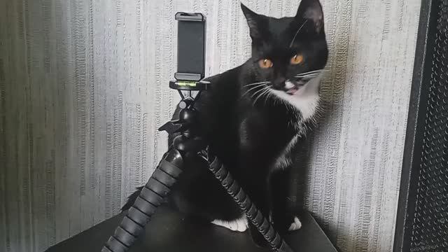 Настольный мини-штатив для смартфонов FLEX-2901 ISA, распаковка и обзор