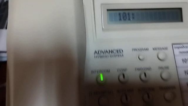 29 июня 2023 г.