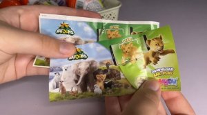 РАСПАКОВКА KINDER NATOONS 2025 BABY • КИНДЕРЫ С ЛЬВЕНКОМ - ЧТО ВНУТРИ?