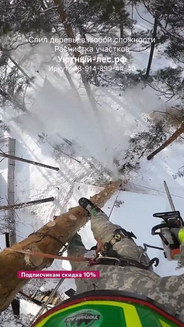 Дерево вблизи дома, пилим по частям смотреть онлайн