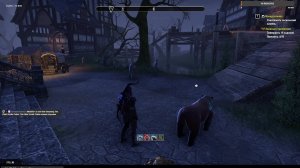 The Elder Scrolls Online играем отдыхаем