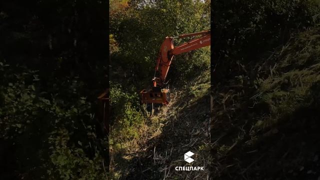 Работа мульчера #мульчер #техникаваренду #работавахто смотреть онлайн