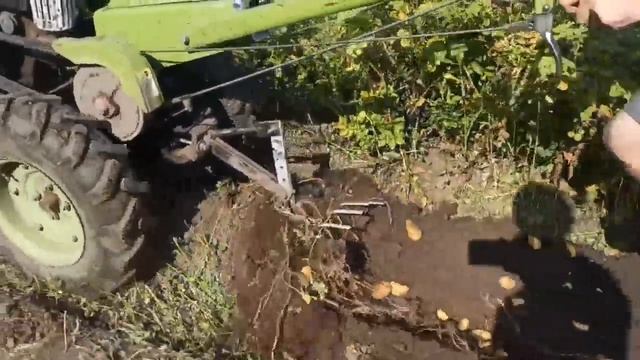 Картофлекопалка ЛАПКА для мотоблока, ранній сорт карт смотреть онлайн