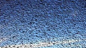 ЗВУКИ РАЗБИТОГО СТЕКЛА. ВКЛЮЧИ НА КАЛОНКЕ