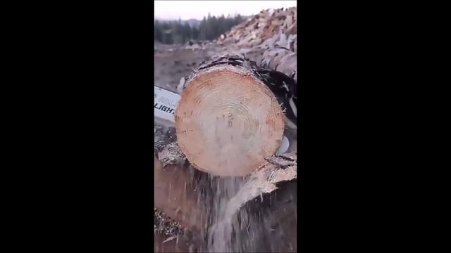 Станок для заточки цепей бензопил. смотреть онлайн