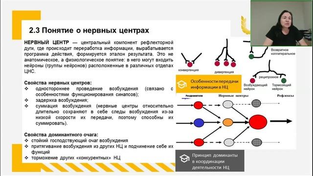 Физиология человека общая, возрастная, спортивная 1 часть