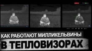 Сравнение милликельвинов в тепловизионных прицелах