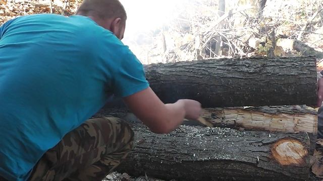 проба камеры . полевой выход