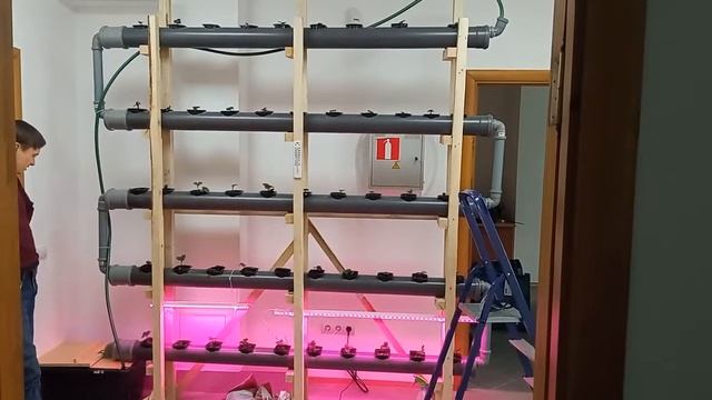 Сборка гидропонной установки и посадка клубники.