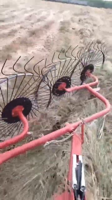 Грабли- ворошилка работают в поле. Для заказа звони 89189 смотреть онлайн