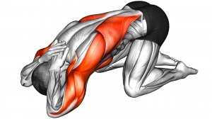 Я делаю эти Упражнения Каждое Утро