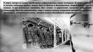 видеоурок В аду фашистских лагерей посвященный дню освобождения узников концлагерей