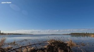 Beretta outlander A300 & Fabarm XLR 5 на охоте на Колыме.