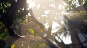 Успокаивающая музыка для сна.  Музыка для расслаблени?