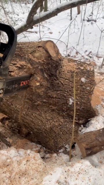 Бензопила DNIPRO-M в роботі смотреть онлайн