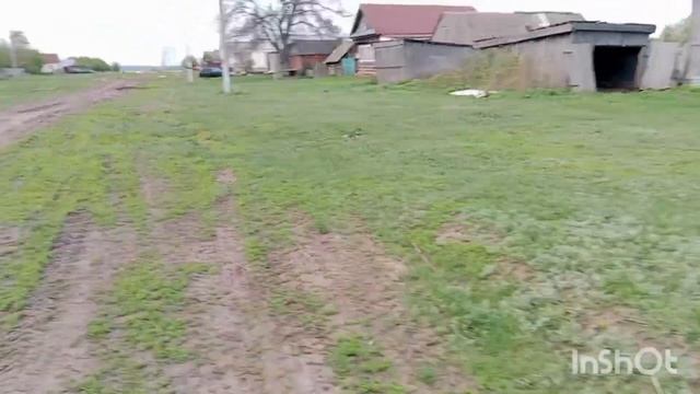 Жизнь в деревне.Огород вспахали.Сажаю лук. смотреть онлайн