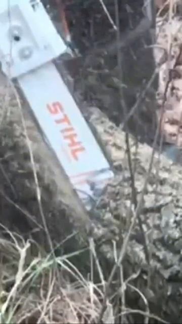 Перша професійна АКУМУЛЯТОРНА пила STIHL MSA 300С! Підпису? смотреть онлайн