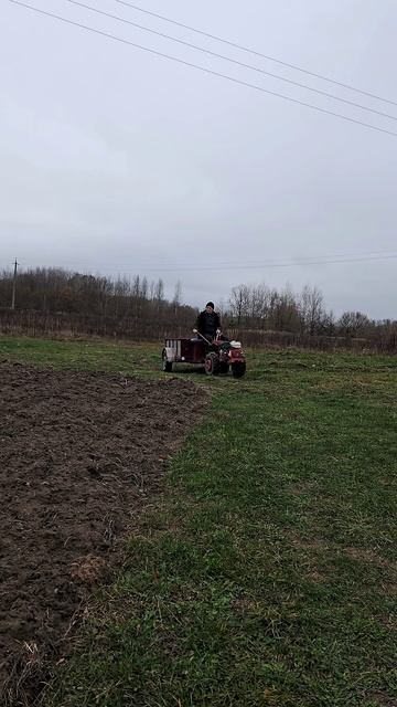 Транспортные работы мотоблока Белорус #farming #automobile смотреть онлайн