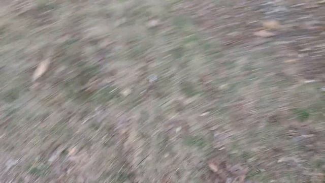 Тойота дюна бензин двигатель 3Y ремонт автоэлектрики в