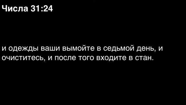 Числа, глава 31 смотреть онлайн