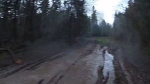 ЛуАЗ, УАЗ буханка, поездка в делянку за дровами