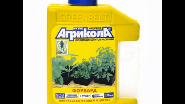 Томат південний загар-помаранчевий плід надзвичайног