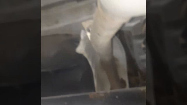 пескоструй днища тойота королла,антикор смотреть онлайн