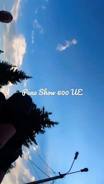 Купить самую мощную пенную пушку Pena Show 600 UE . смотреть онлайн