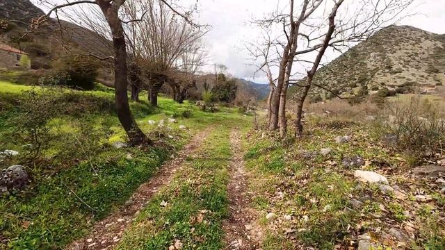 САМАЯ ЛУЧШАЯ камера! | Распаковка и тест DJI Osmo Action 5 Pro