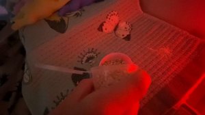 мини-влог вечер с собачками ❤️