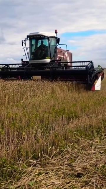 Косилка самоходная универсальная КСУ-1 Ростсельмаш смотреть онлайн