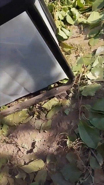 Измельчитель DDE смотреть онлайн