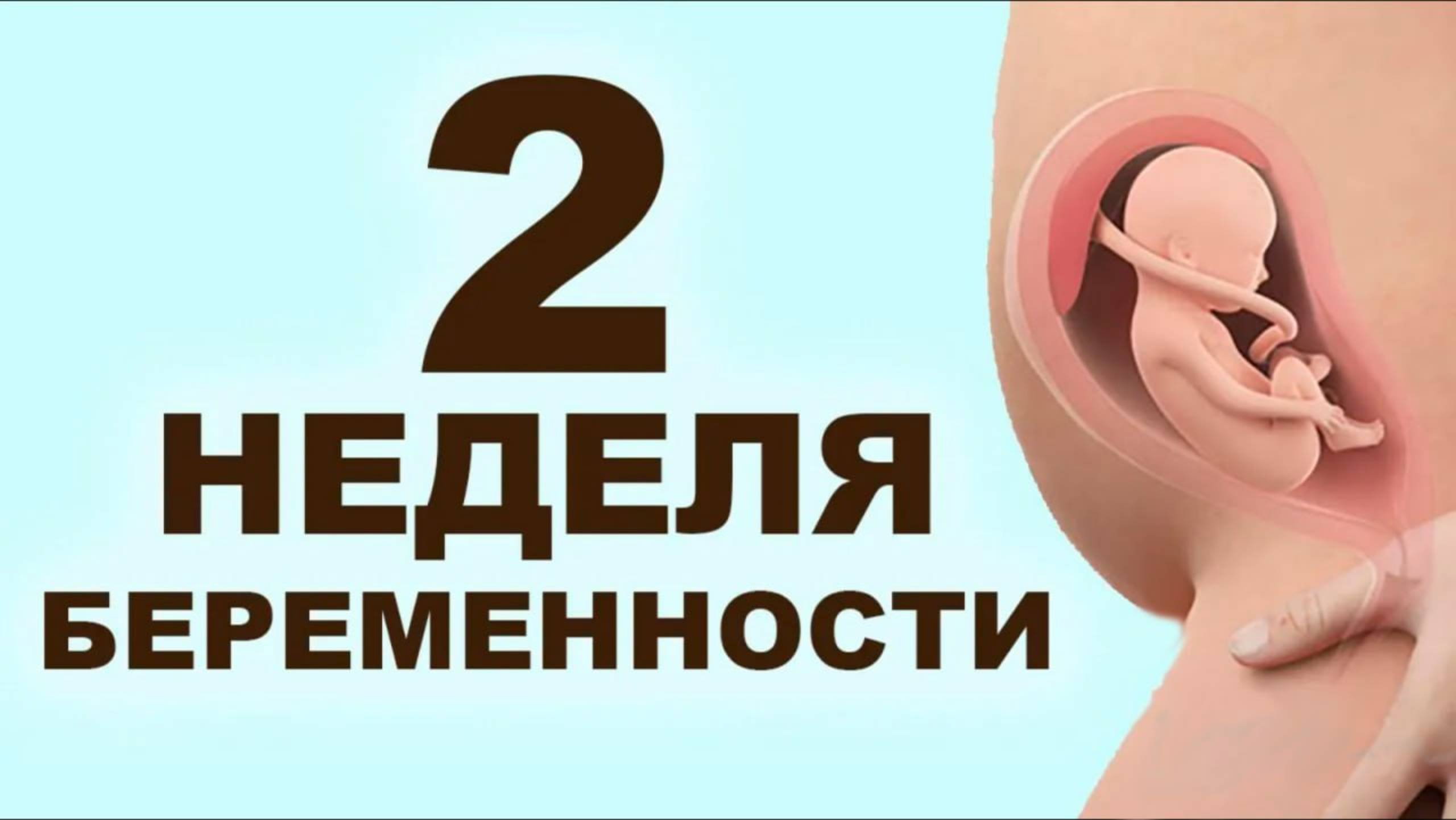 Что происходит с мамой и ребенком на 2 неделе беременности? 1 месяц беременности. Первый триместр смотреть онлайн