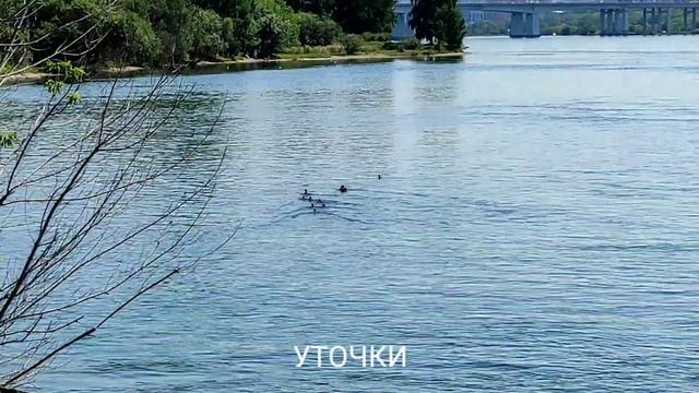 Остров Юность - отличное место для отдыха в центре Ирк? смотреть онлайн