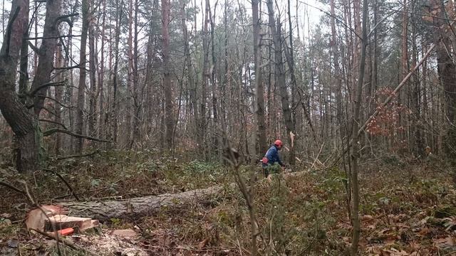 Тест китайской цепи есо .