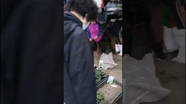 Китай,Хуньчунь. Весна,пора посадок. 03 мая 2025 года.