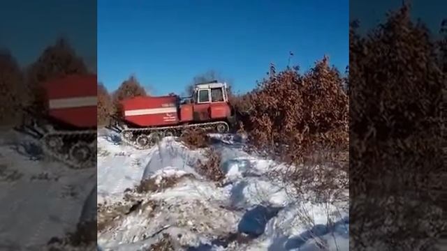 Агротехнические мероприятия в Амурской области смотреть онлайн