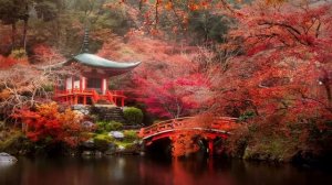 День в Японии - Спокойная музыка и звуки леса и воды, расслабляющая музыка для отдыха