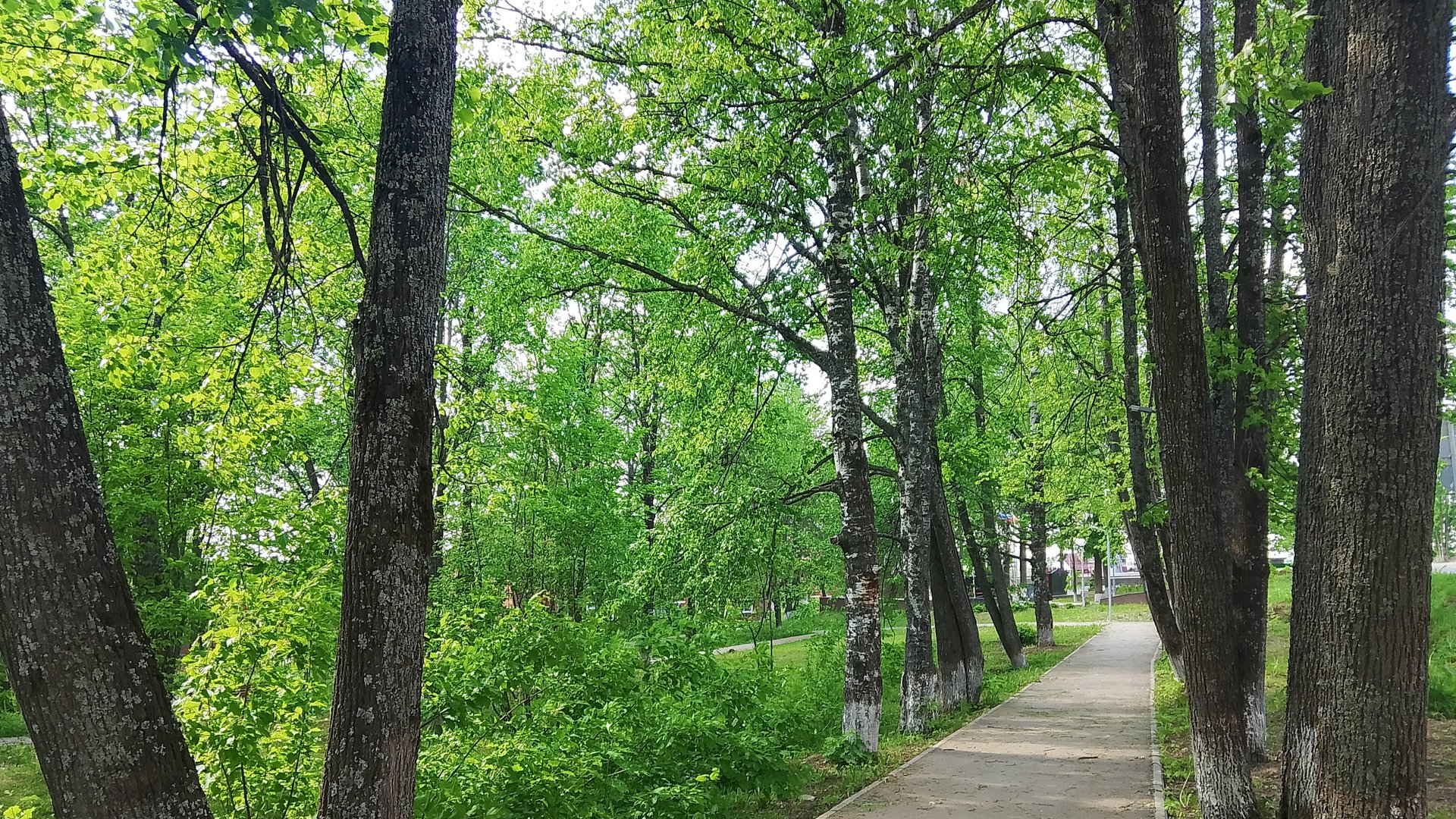 Типичные летние выходные. И работа,и отдых. смотреть онлайн