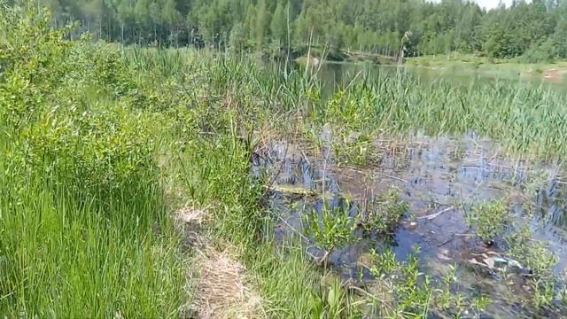 С детьми на озере 