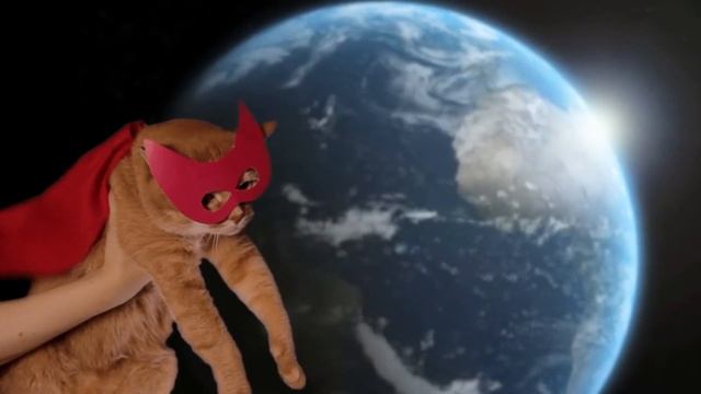 СУПЕРКОТ [SUPERCAT]