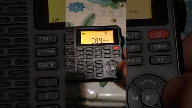 XHDATA D109 прием SW коротких волн // время 22-40