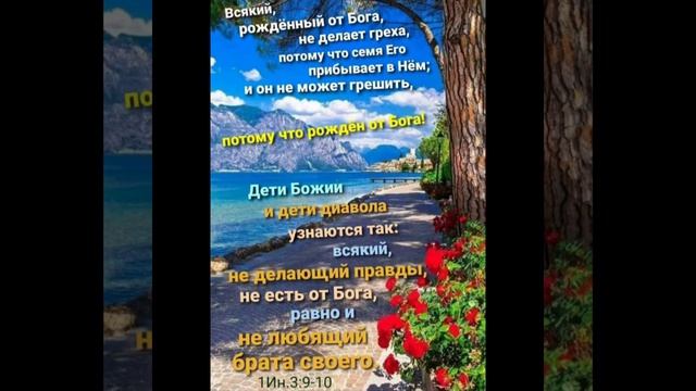 Не одним хлебом живёт человек!