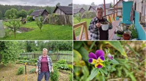 ЗАНИМАЕМСЯ ОБЫЧНЫМИ ДЕРЕВЕНСКИМИ ДЕЛАМИ. НЕТ ЛЁШИКУ ПОКОЯ.