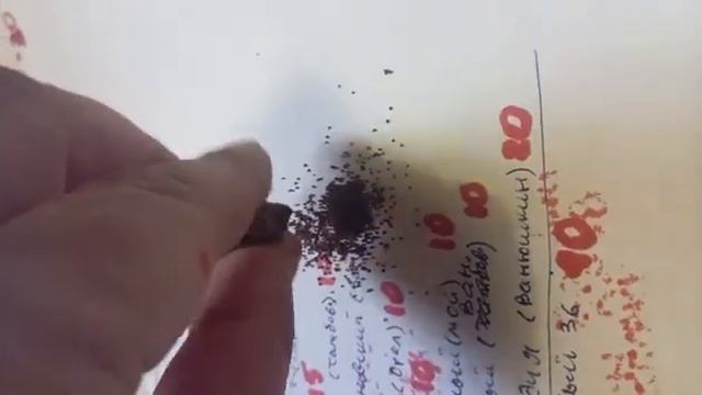 А мы все сеем ч.2 🤠✊✊✊🤝 смотреть онлайн