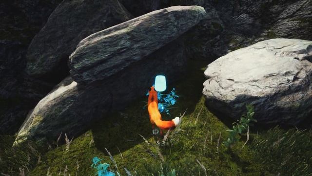 ПРОХОЖДЕНИЕ SPIRIT OF THE NORTH\ДУХ СЕВЕРА! ЛИСИЧКА И ИСЛАНДСК? смотреть онлайн