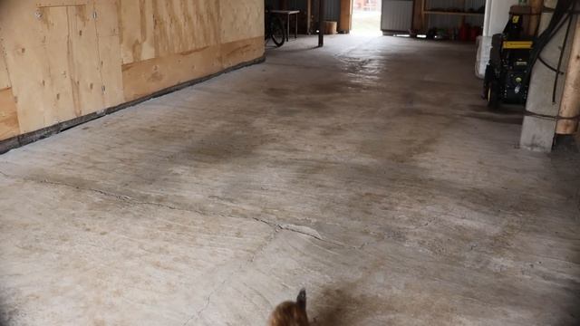 Длиннющая высокая грядка из плоского шифера! смотреть онлайн